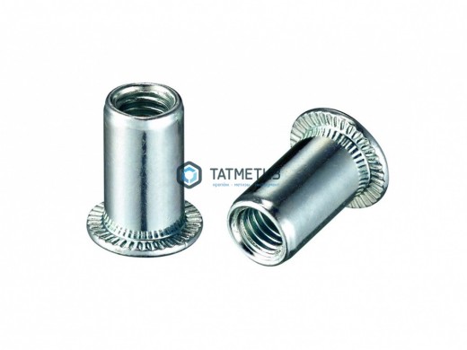 Заклепка резьбовая цилиндрический борт М10  (180 шт/уп)  КК / KL -  магазин крепежа «ТАТМЕТИЗ»